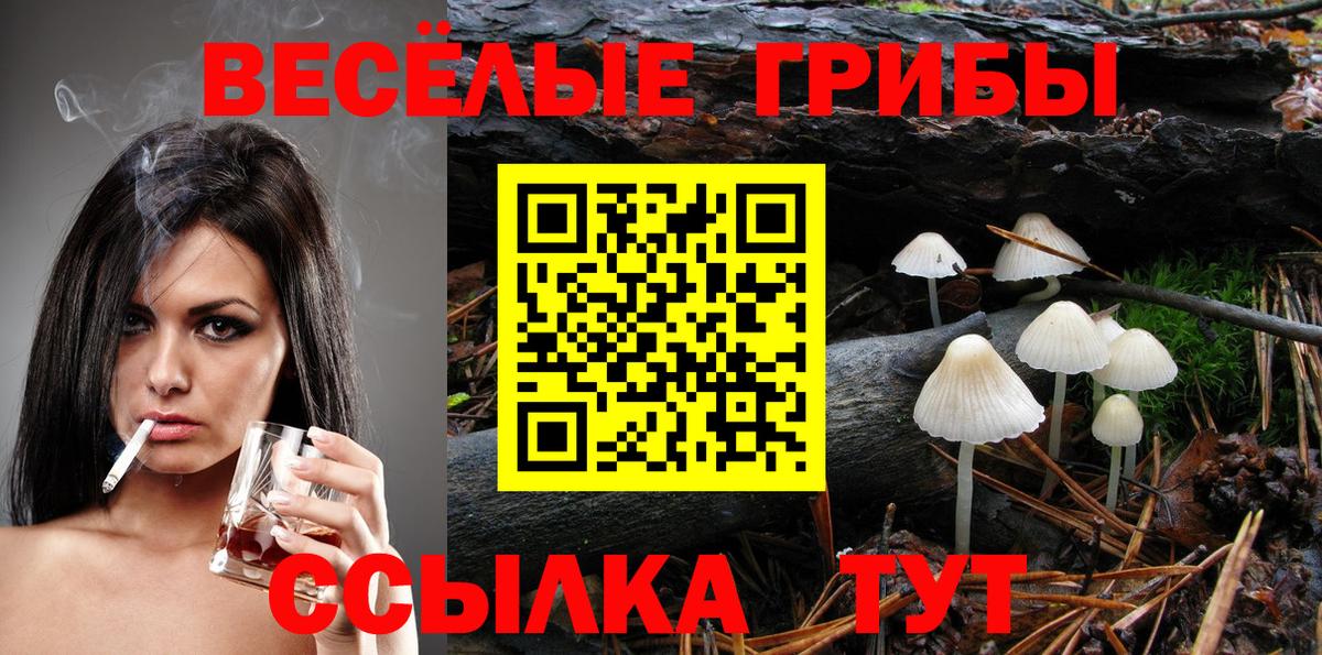 Октябрьский  Галлюциногенные грибы Psilocybine cubensis  Вход с VPN 